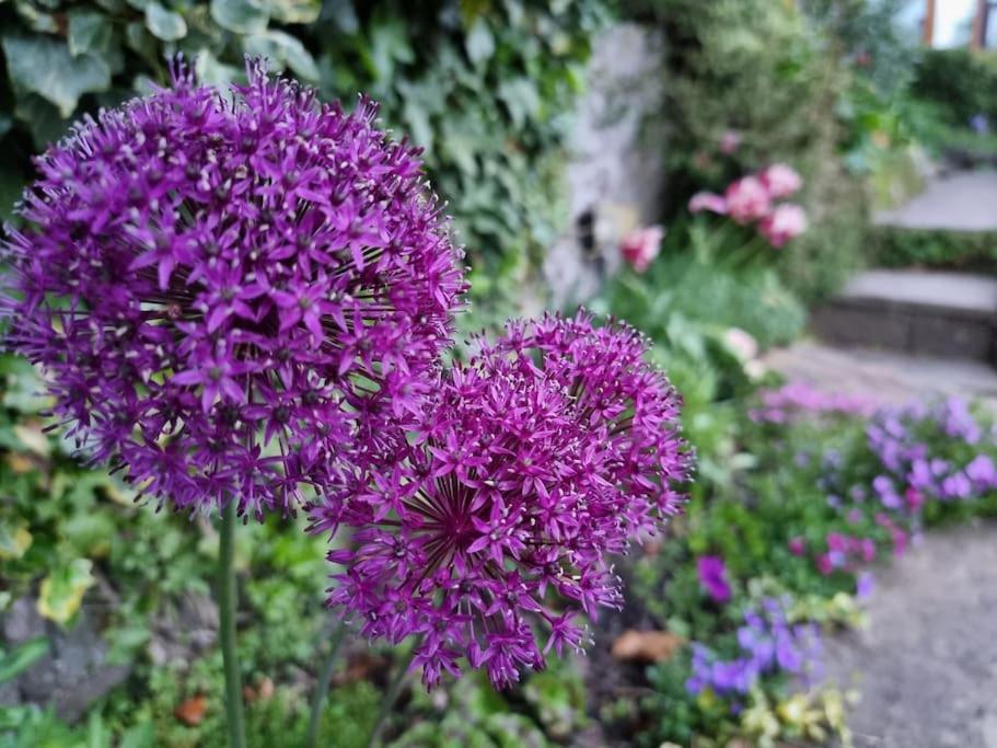 Villa Characterful Garden Buxton *