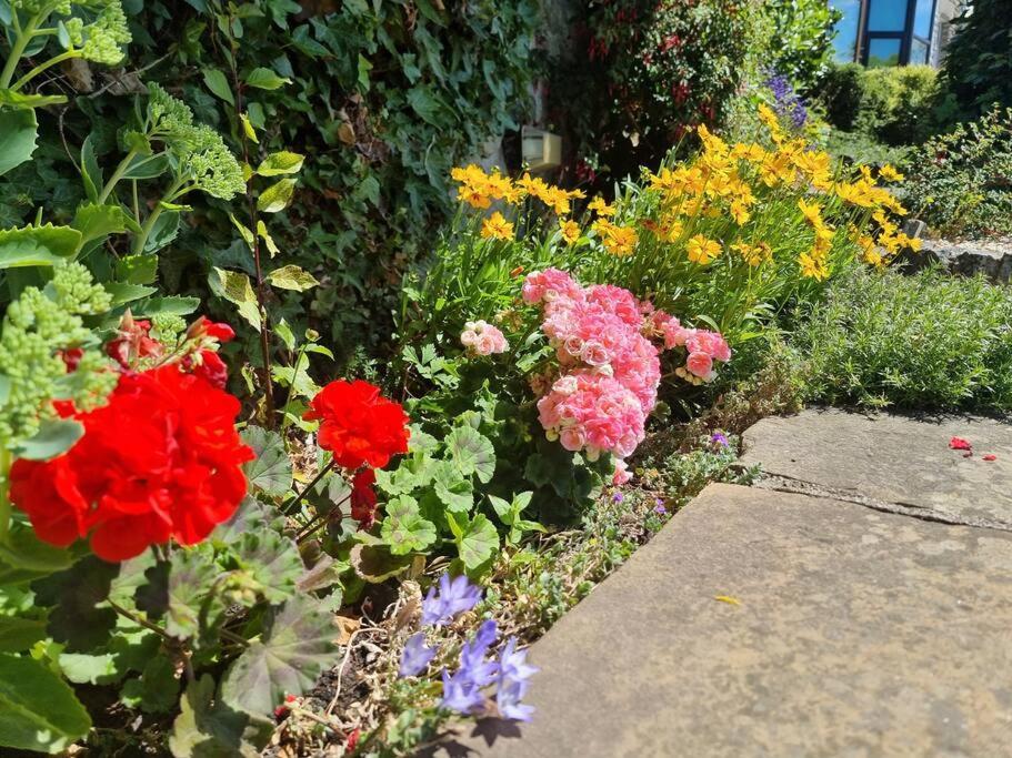 Characterful Garden Buxton * Buxton (Derbyshire)